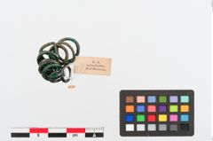 Foto von Bronzering (NHMW-PRAE-024796)